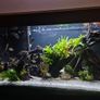 Fluval Fish Tanks 200ltr Image 8
