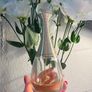 Dior J'adore Absolu  (25 ml out of 75 ml left) Image 2