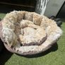 cat beds Image 3