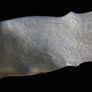 Antique 18th Century Mother of Pearl Armorial Game Token Image 3