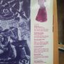 Viking settlement to medieval Dublin Curriculum Development Unit - Hardback Book Irish History Image 3