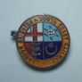 RAILWAY COMPANY (logos & crests) - 9 x quality enamel badges (1960s to early 1980s). Lot B Image 6