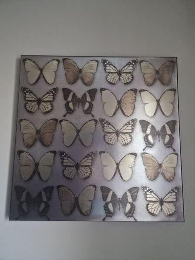 butterfly canvas decor