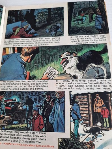 vintage twinkle comic Nov 1981