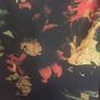 Joseph Ribcoff floral dress (free post) Image 7