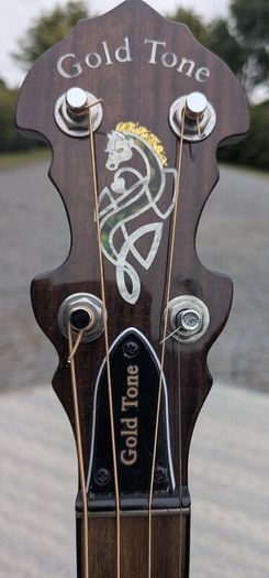 Tenor Banjo - Gold Tone IT17