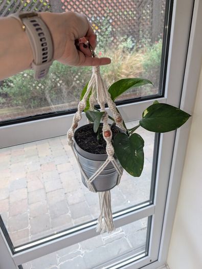 Beautiful hanging plant including pot and hanging basket