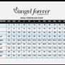 Angel Forever AF4306 Black Sequin & Feather Evening Dress UK 8 XS Image 4