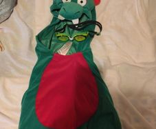 Dinosaur Costume for 3 to 4 Years Old