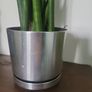 Sansevieria Cylindrica planter Image 3