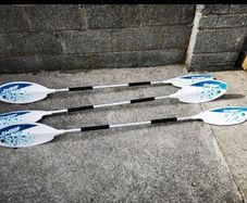 Kayak