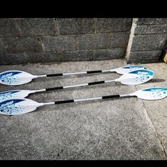 Kayak
