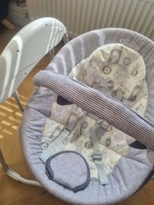 Graco Baby Swing