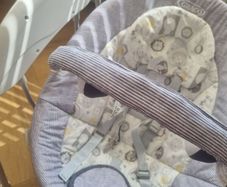 Graco Baby Swing