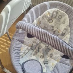 Graco Baby Swing