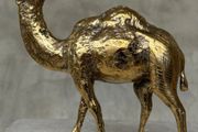 Camel - Polished Bronze