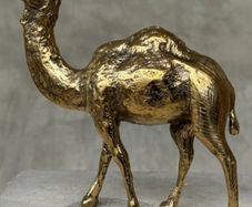 Camel - Polished Bronze