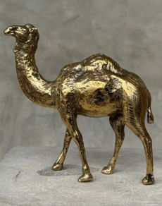 Camel - Polished Bronze