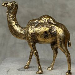 Camel - Polished Bronze