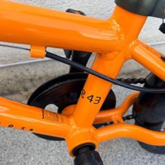 frog bike