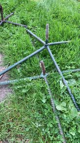 Free Christmas tree stands