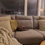 couch free Image 4