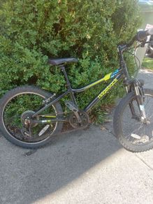 20 inch Kids Ridgeway bicycle