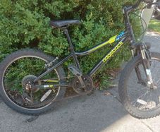 20 inch Kids Ridgeway bicycle