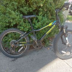 20 inch Kids Ridgeway bicycle