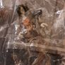 BNIP Fortnite Battle Royale Figures Image 6