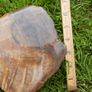 210 Million Year Old Understood WOOD Fossil from Triassic Arizona 2,335gr Image 3