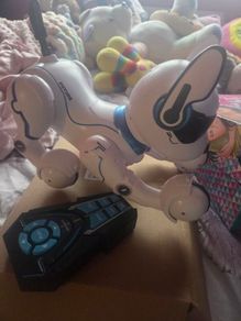 Ziggy the Robo dog