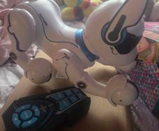 Ziggy the Robo dog
