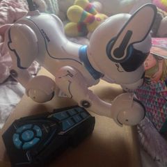 Ziggy the Robo dog