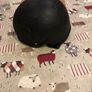 Child Riding Helmet 51-52cm Champion Image 2