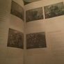 Flower Arrangement Book Image 6