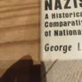 Nazism Image 3