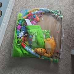 Rainforest deluxe gym