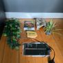 Reptile Vivarium Image 4