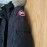 canada goose Image 7