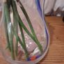 Artificial pink roses and vase Image 2