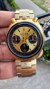 Citizen Bullhead