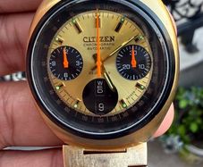 Citizen Bullhead
