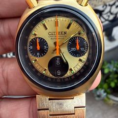 Citizen Bullhead