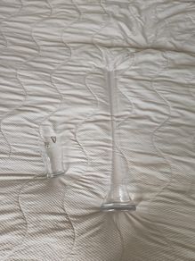 Tall Glass Vase