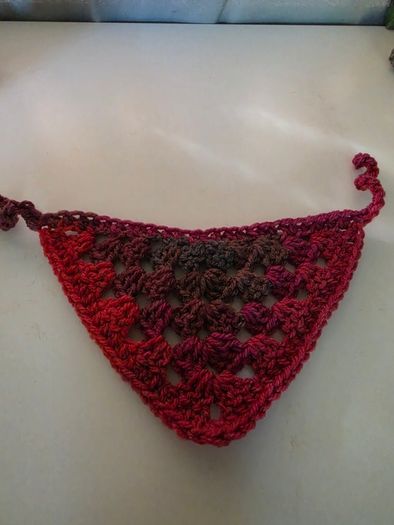 dog bandana
