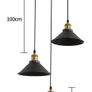 3 Lights Industrial Ceiling Light, Retro Industrial Pendant Light, Vintage Edison Style Metal Hanging Light Fixture Chandelier for Kitchen Bedroom Living Dining Room (FREE POSTAGE) Image 2