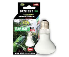 Reptile Nova Bulb For Terrariums UVA 25W DAYLIGHT