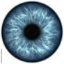 Iris Health Analysis Image 5