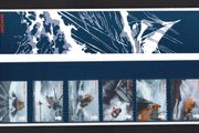2008 Great Britain The 100th Anniversary of the International Mayday Signal (RNLI) Commemorative Stamps Presentation Pack